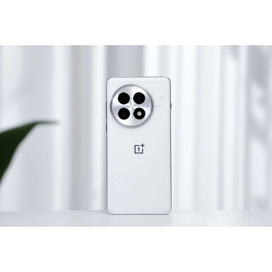 Смартфон OnePlus 13 12/256Gb CN (Global Rom) White