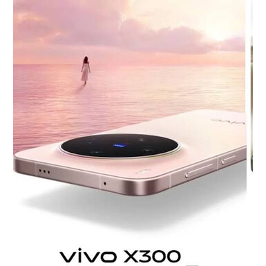 Смартфон Vivo X300 12/256 PINK CN