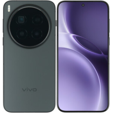 Смартфон Vivo X300 Pro 12/256Gb Black CN