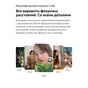 Смартфон Vivo X300 16/512 Red CN