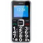 Сотовый телефон Ginzzu MB505 Black